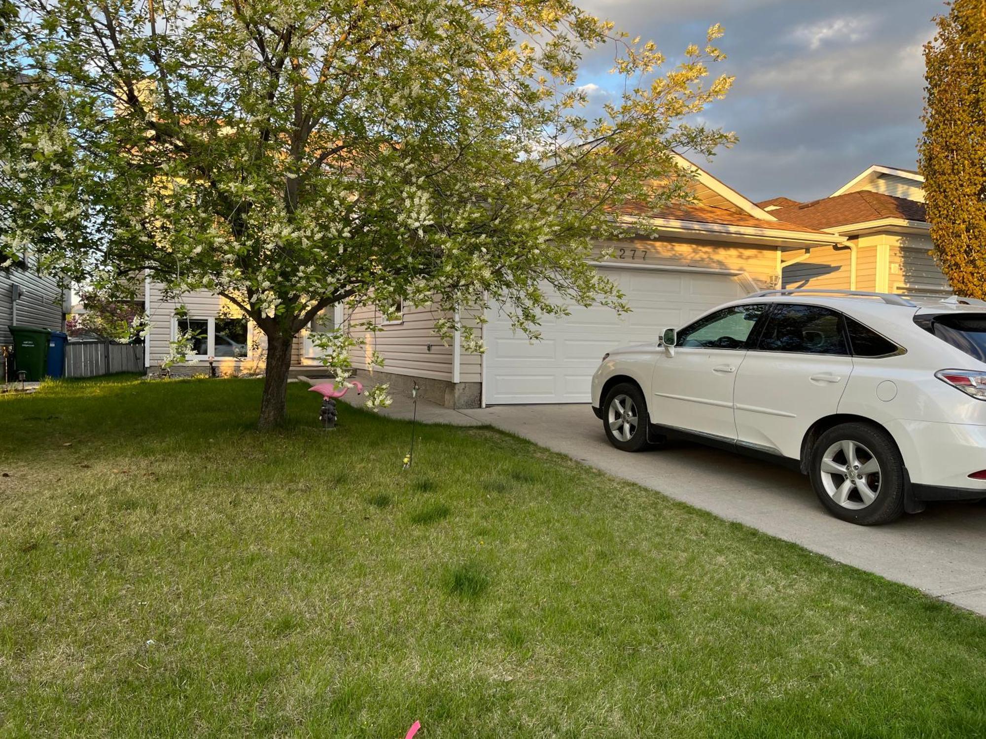 Citadle Hill House! * Calgary